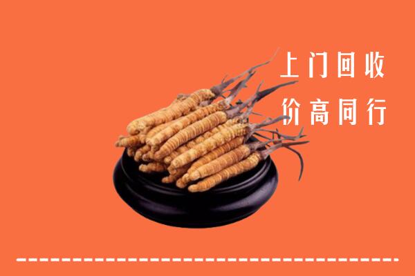 高价求购：泸州泸县区回收散虫草