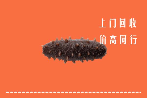 高价求购：泸州泸县区回收海参